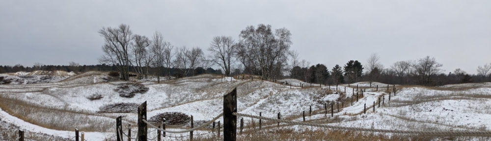 Gilderson-Duwe Roots and Branches